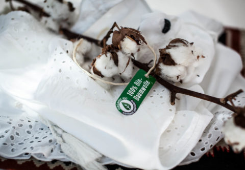 10 důvodů, proč nosit biobavlnu