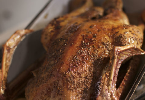 Svatováclavská husa se švestkami