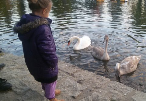 Tipy, jak namotivovat děti jít ven