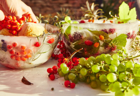 Ledová mísa s rakytníkovou zmrzlinou