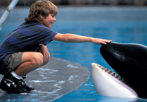 Co se stalo se slavnými filmovými zvířaty?