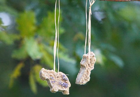 Dobroty pro ptáčky na zimu