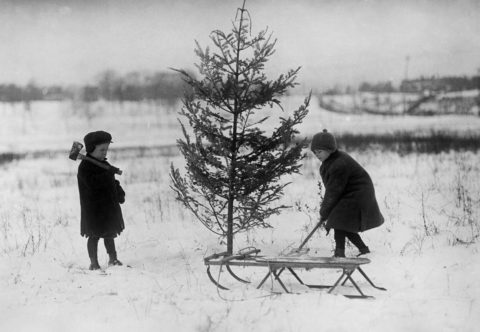 Podívejte se, jak se slavily Vánoce před 100 lety