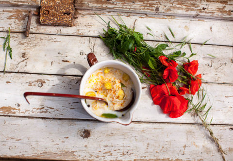 Hladká ančka couračka