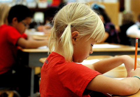 Od zápisu po první školní den