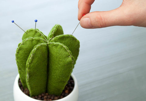 Kaktusový jehelníček