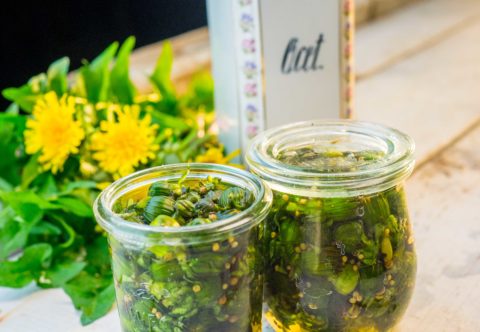 Pampeliškové kapary