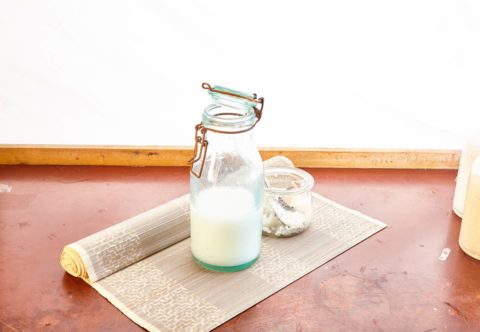 Hit sezóny: Rostlinná mléka