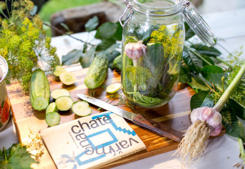 Kvašáky Jiřiny Šejbalové