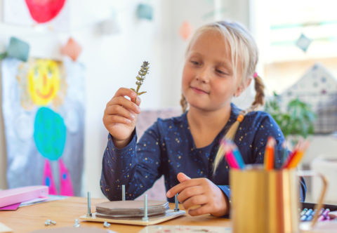Přírodověda hrou. Vyrábíme s dětmi herbář!