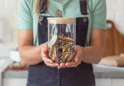 Tři způsoby sušení hub a moje tipy na jejich skladování. Proč přidávám bobkový list?