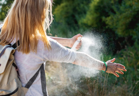Žádné otravné bzučení, ani mravenci v kuchyni! Moje tipy, jak se doma i na zahradě vyhnout hmyzu
