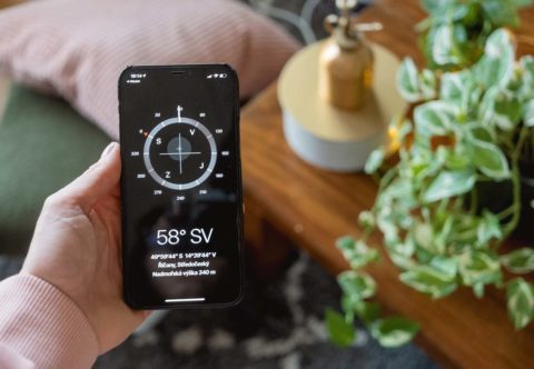 Monsteru na východ, kaktus na jih! Jak a proč rozmisťuju pokojovky podle světových stran