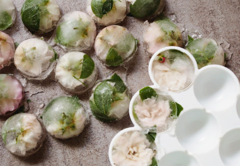 Efektní mísy na chlazení nápojů: Připravuji ledy zdobené květinami a bylinkami!