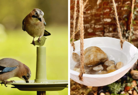 I opeření návštěvníci balkonů a zahrad si chtějí dát do zobáčků, proto jsem se pustila do ptačích pítek