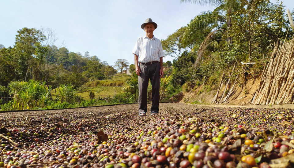 Náročné putování kávy vede do férového cíle. Tchibo je jejím průvodcem