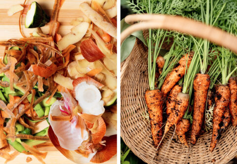 Nevyhazuju, házím je do hrnce! Aneb využívám potraviny do poslední slupky