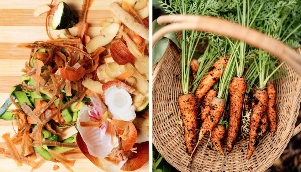 Nevyhazuju, házím je do hrnce! Aneb využívám potraviny do poslední slupky