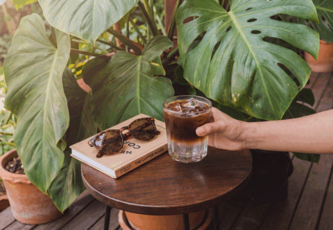 Coco Americano: Moje letní kávová závislost s nádechem exotiky